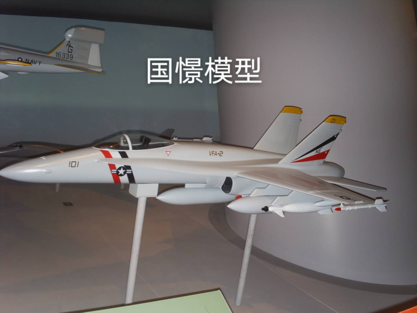 泰顺县军事模型