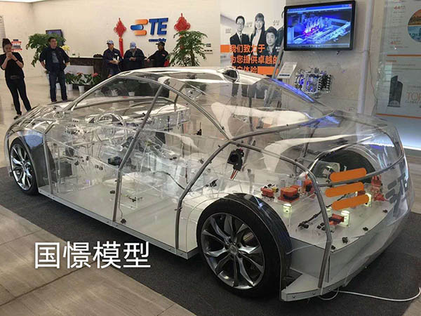 泰顺县透明车模型